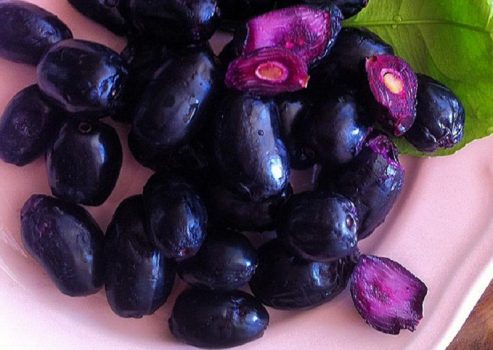 کاربرد میوه جمبو