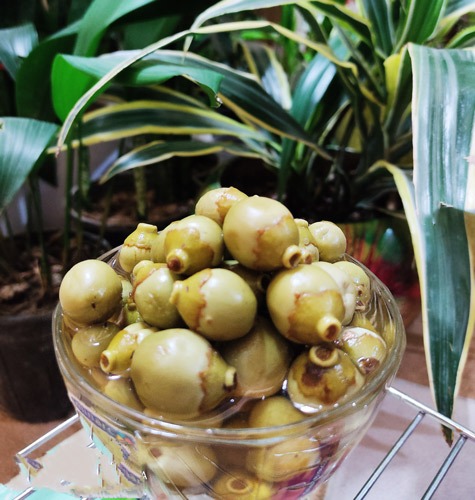 ترشی سپستان