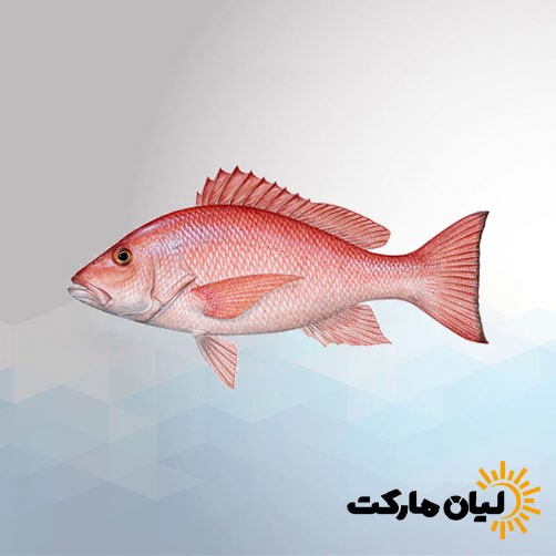 ماهی سرخو | بسته پنج کیلویی