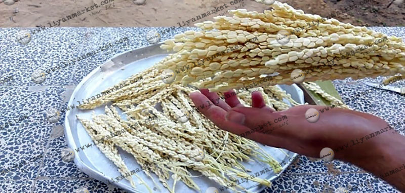 آشنایی با فواید گرد نخل برای زنان و مردان