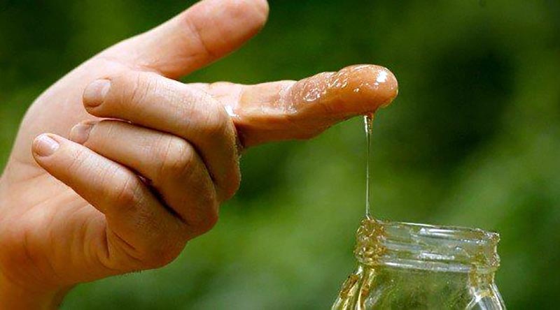 عسل طبیعی را چگونه بشناسیم و آن را تشخیص دهیم؟