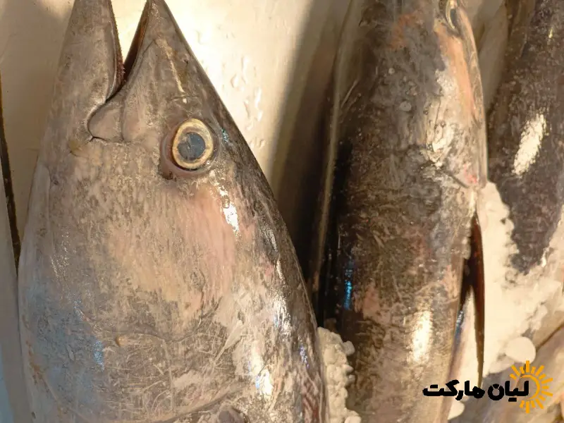 ماهی هوور | بسته پنج کیلویی - Image 2