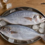 ماهی حلوا بوشهر