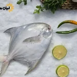 ماهی حلوا سفید