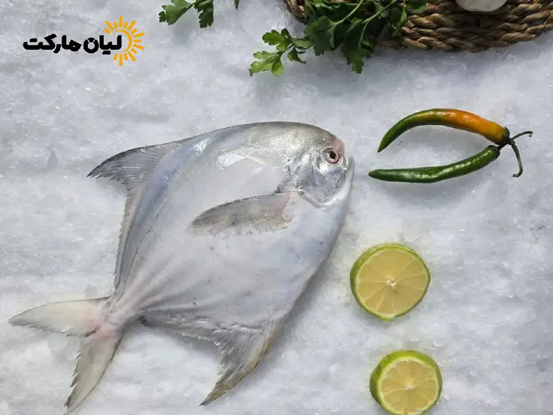 ماهی حلوا سفید