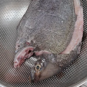 ماهی حلوا سیاه بوشهر | بسته پنج کیلویی