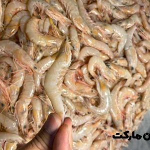 میگو سرتیز بوشهر سایز 100-120 تازه صید روز